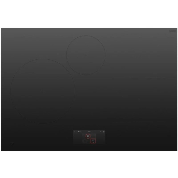 Fisher & Paykel CI764DTTG1