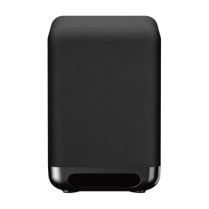 Sony SASW5.CEK Black Passive subwoofer 300 W