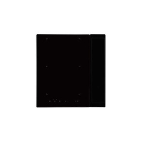 NOVY 40000 hob Black Built-in 49 cm Zone induction hob 2 zone(s) Built-in hood