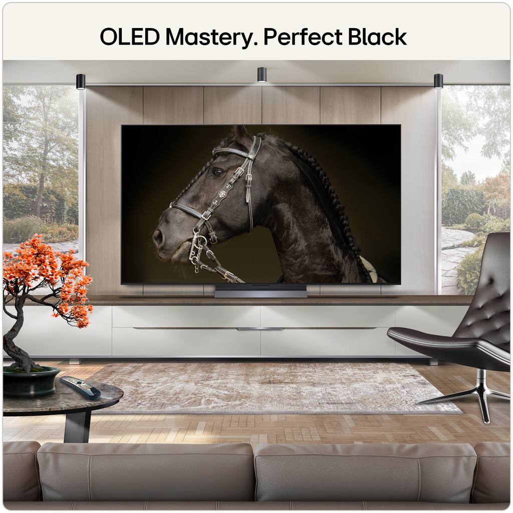 LG OLED TV 65 (UD) 165.1 cm (65") 4K Ultra HD Smart TV Wi-Fi - Image 11