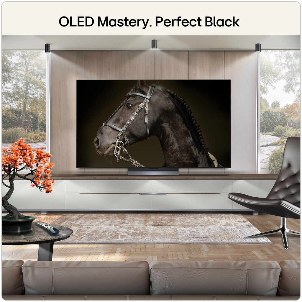 LG OLED TV 55 (UD) 139.7 cm (55") 4K Ultra HD Smart TV Wi-Fi - Image 3